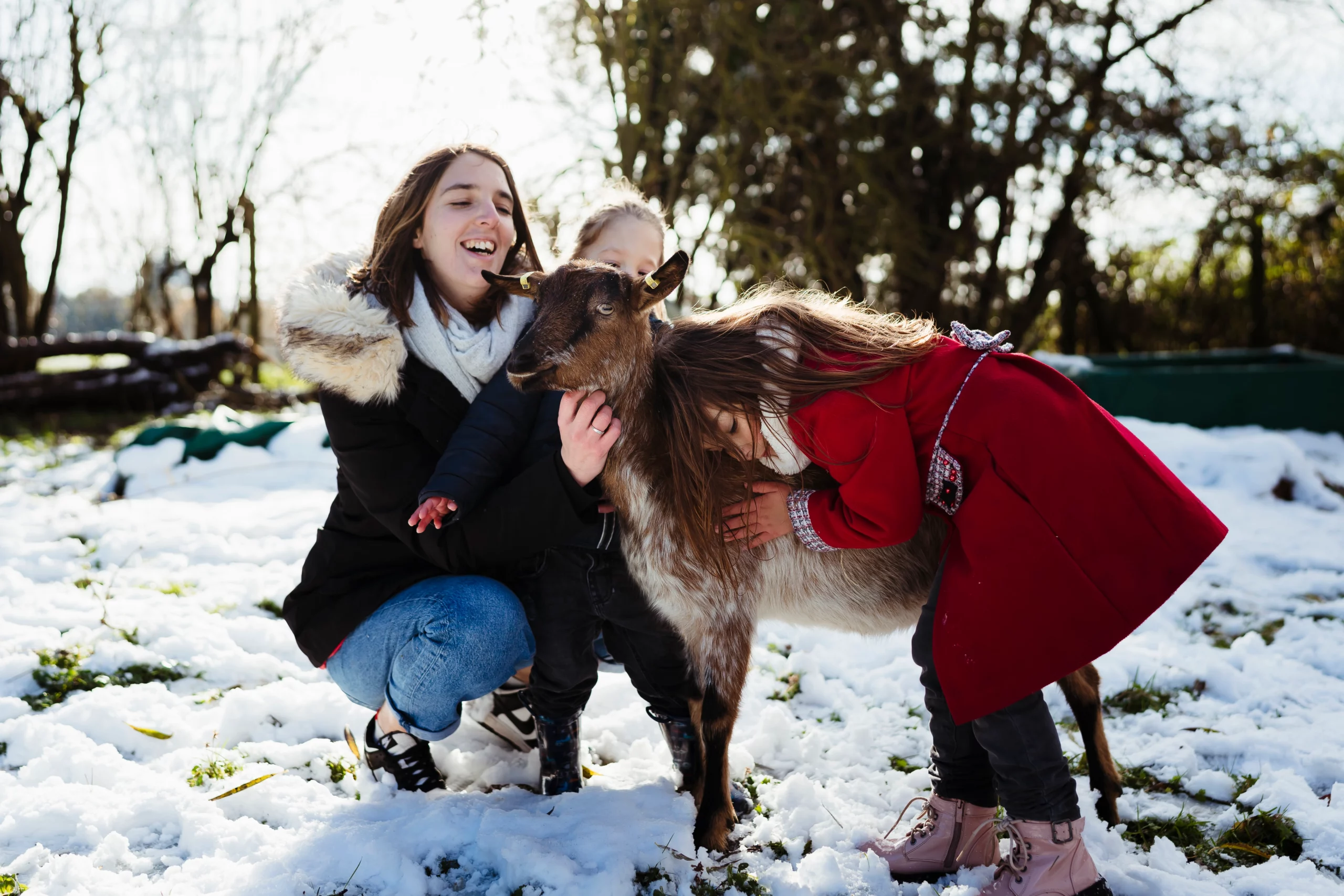 Portrait d'une petite fille qui fait un calin a sa chèvre pendant une séance photo de famille avec animaux sous la neige a fontainebleau