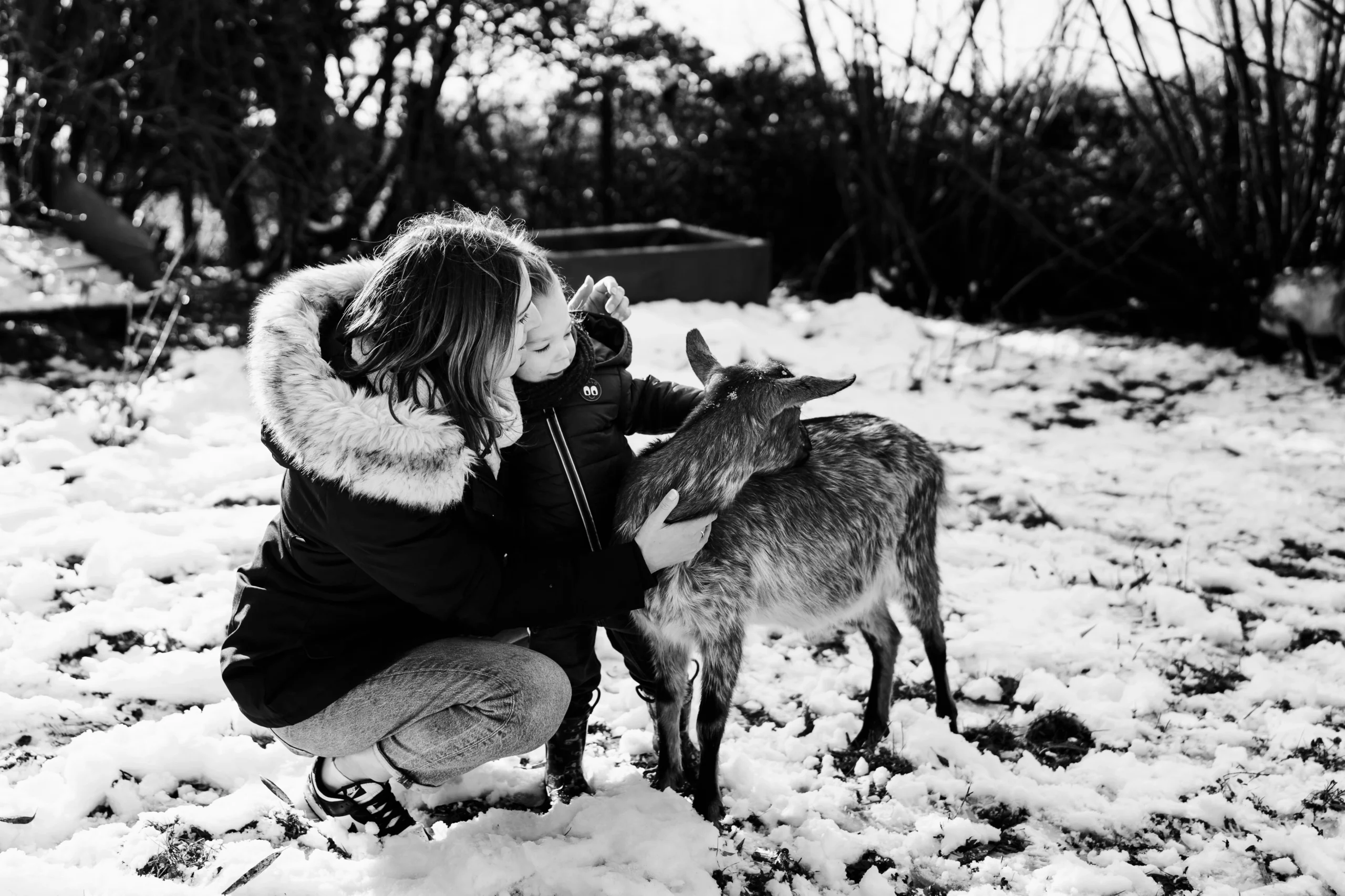 Portrait noir et blanc d'une maman et de son fils qui jouent avec une chèvre dans leur jardin pendant une séance photo de famille sous la neige a fontainebleau
