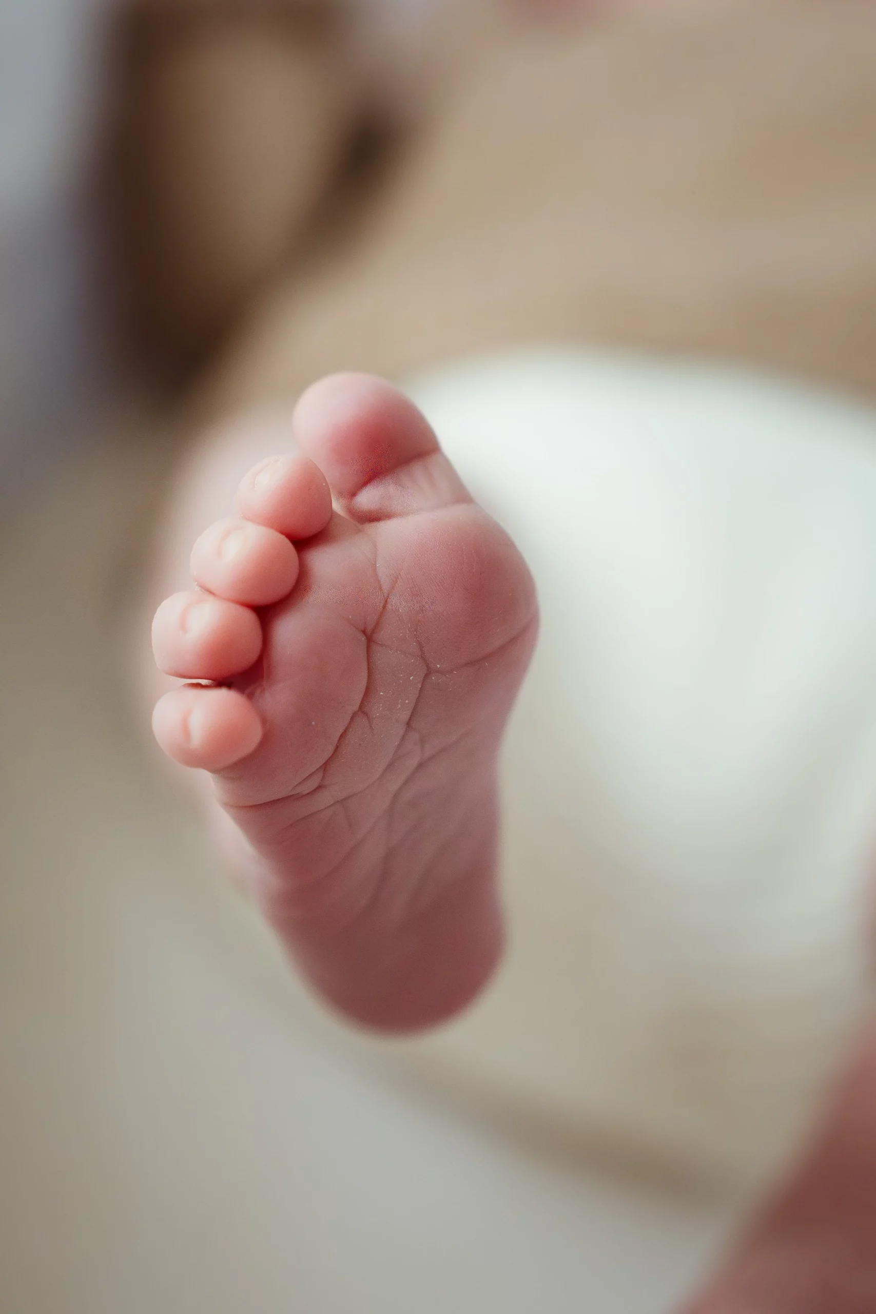Détail d'un pied de nouveau né pendant une séance photo nouveau né à fontainebleau