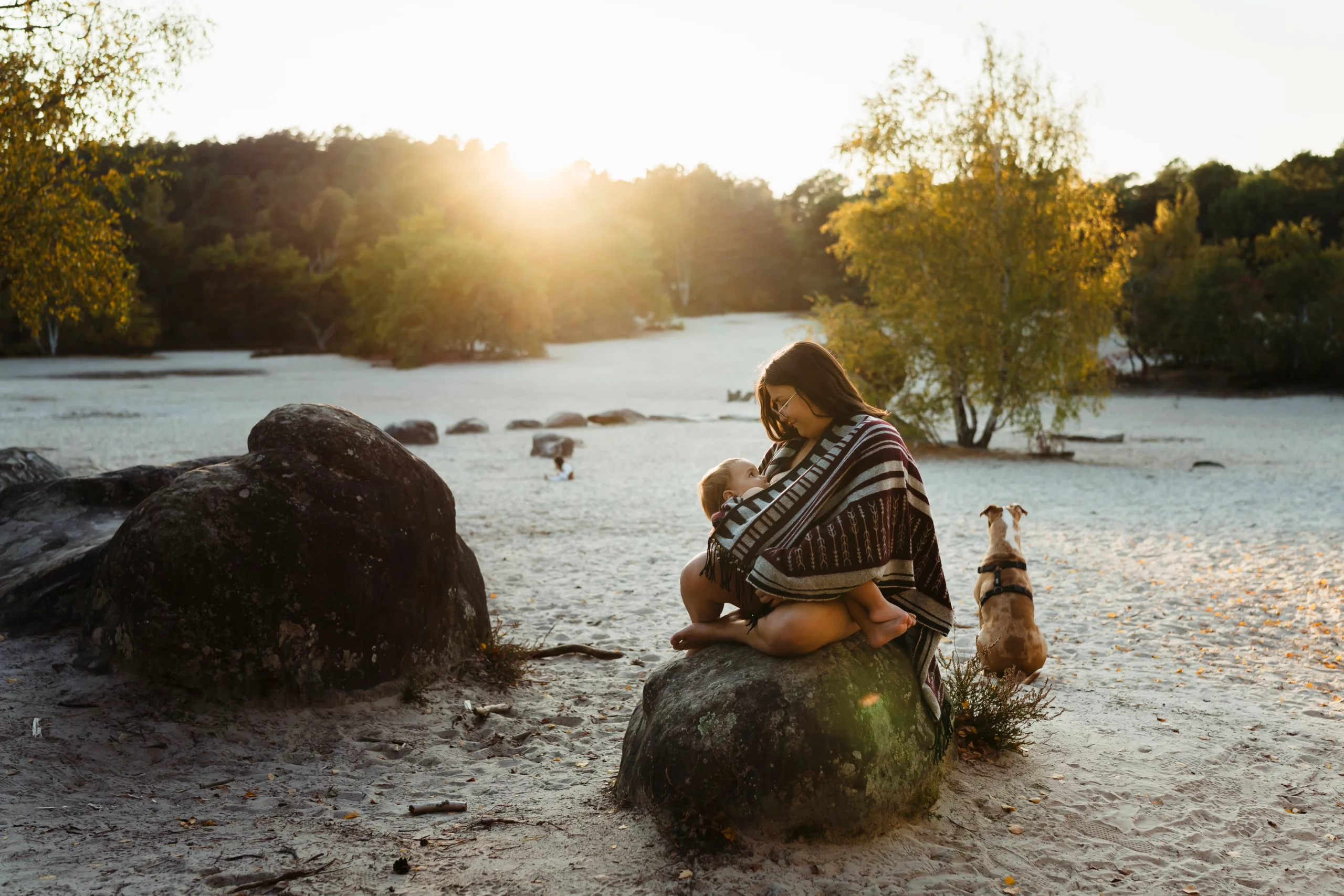Maman allaitant son bébé au couché du soleil pendant une séance photo allaitement en forêt de fontainebleau