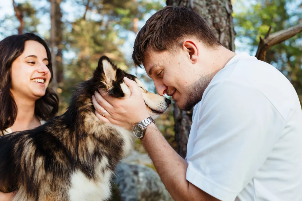 portrait d'un chien et de son maître pendant une séance photo couple au coucher du soleil a fontainebleau