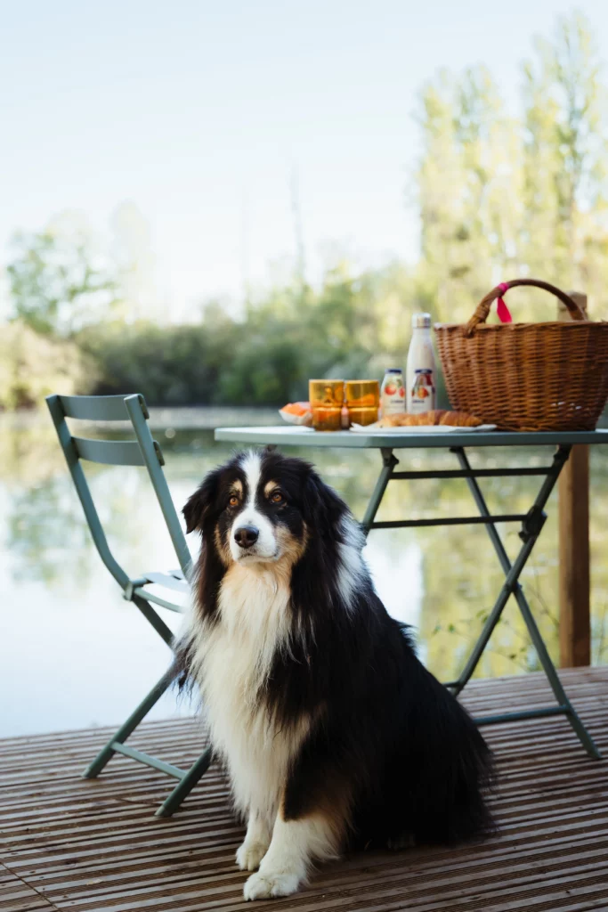 Hébergement week-end romantique avec son chien proche de paris